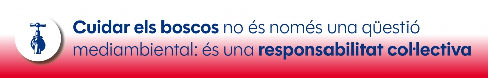 0 Carrusel banner 2025 Incendis